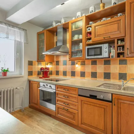 V Jizerskych Horach By Interhome Ferienhaus Desná